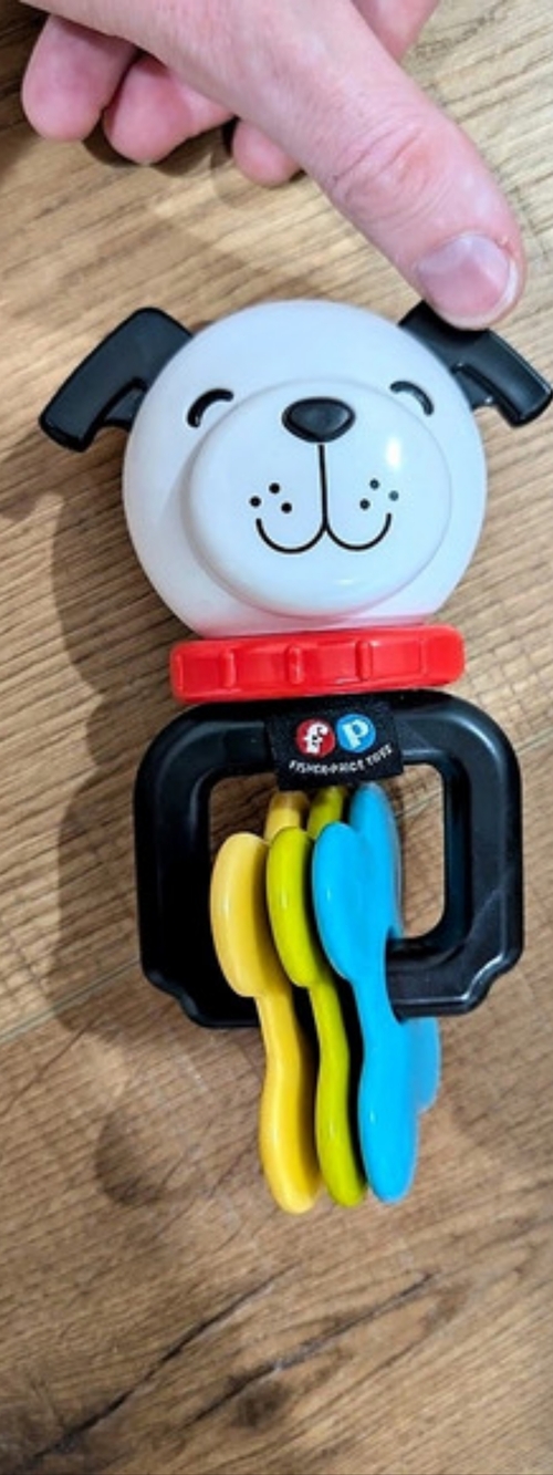 Fisher Price Keys to Keys teether toy Dog Teether Toy in Black & White